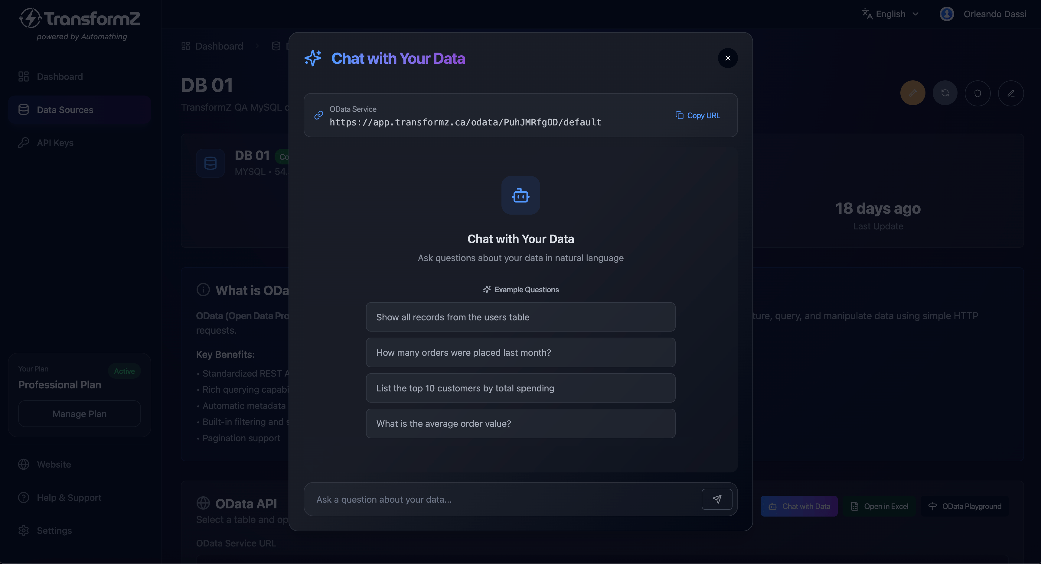 Interface Chat IA TransformZ